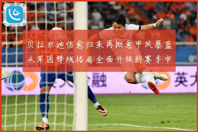 贝拉尔迪伤愈归来再掀意甲风暴蓝衣军团锋线格局全面升级新赛季中成长观察