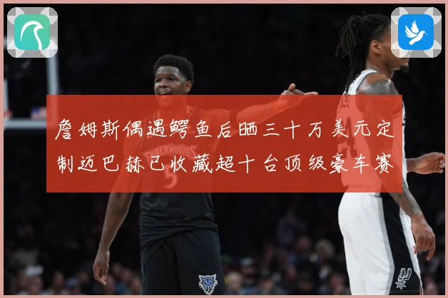 詹姆斯偶遇鳄鱼后晒三十万美元定制迈巴赫已收藏超十台顶级豪车赛场复盘