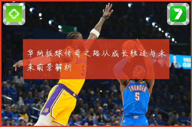 华纳板球传奇之路从成长轨迹与未来前景解析