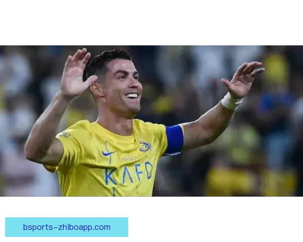 2026世界杯投注网站推荐与分析最新动态详解